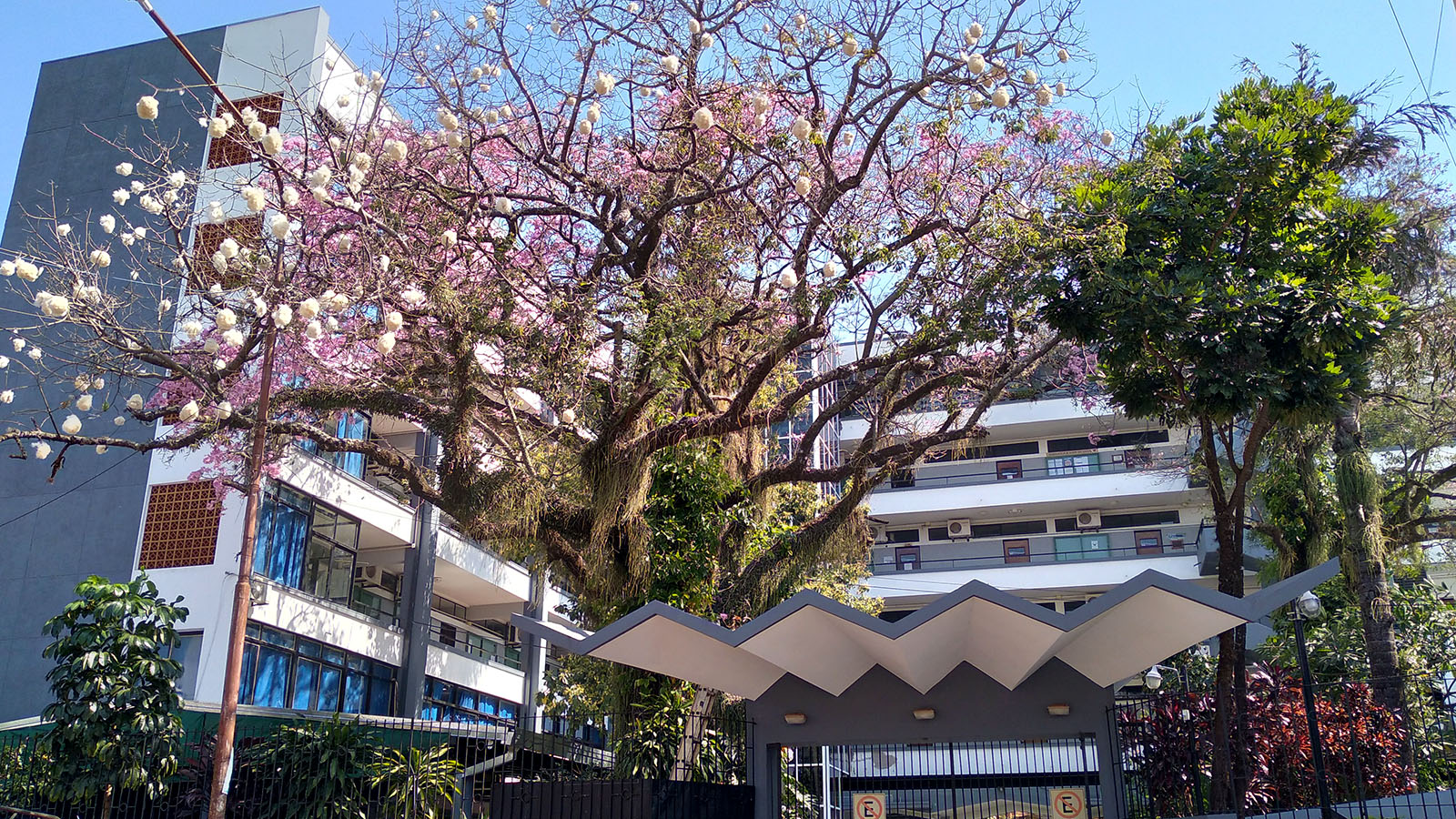 Sede Central